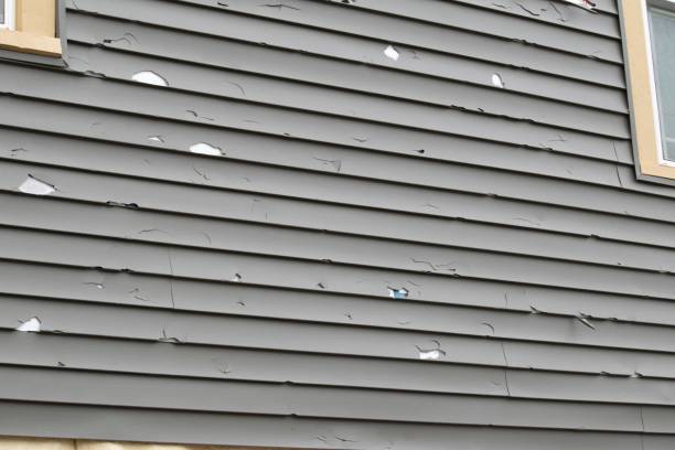 Trusted Gleason, TN Siding Services Experts